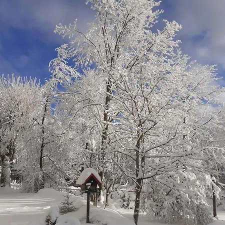 Vendégház Immergruen
