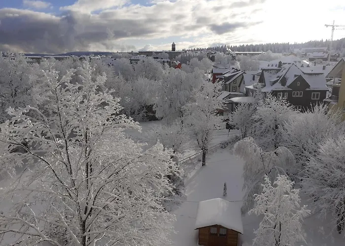 Immergruen Gæstehus 3*