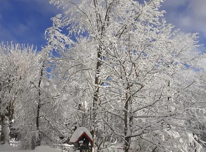 Gæstehus Immergruen