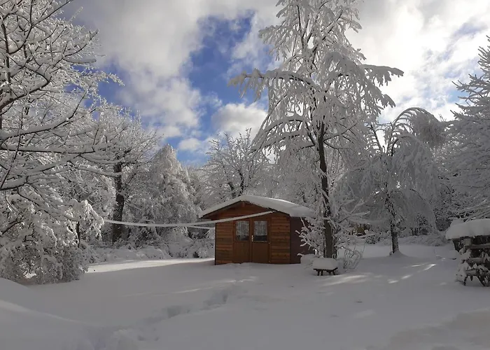 Immergruen Gæstehus Oberhof (Thuringia)