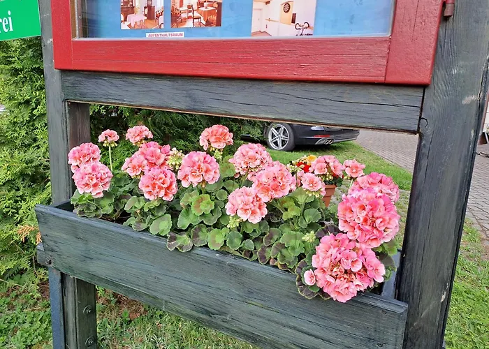 Gæstehus Immergruen Oberhof (Thuringia)